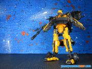 AOE Bumblebee (2)